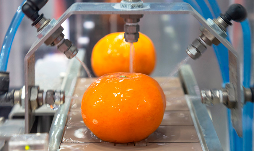 pozitron-Obst-Processhygiene-Lebensmittel-industrie-Desinfektion-Desodorierung-Raeumlichkeiten-02